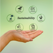 Siegel für Nachhaltigkeit und fairen Handel